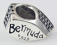 13326-Bermuda Cruiseship