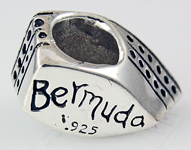 13326-Bermuda Cruiseship