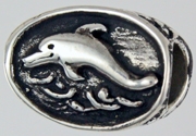 13486-Mystic and Dolphin