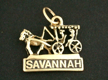 Savannah Surrey