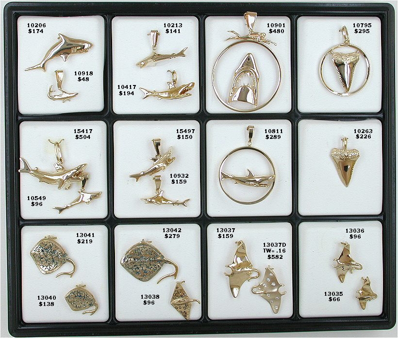 Sharks, Sharks' Teeth, Manta Rays, Sting Rays