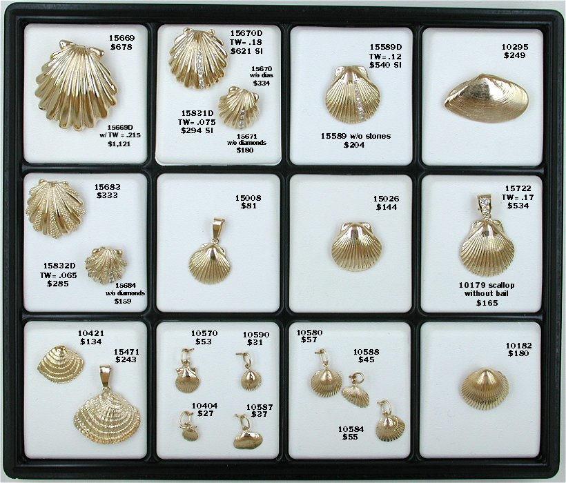 Shells-0058