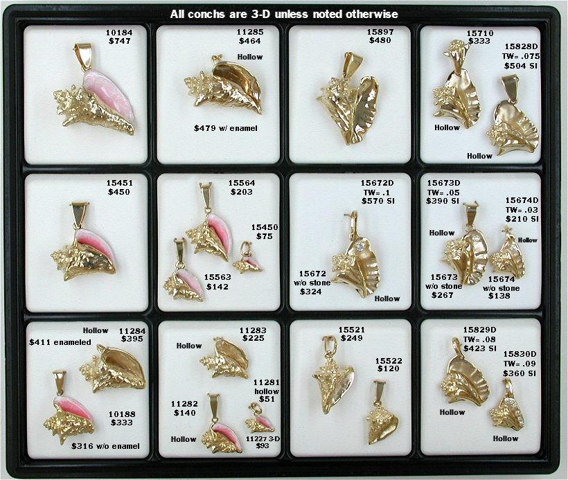 Shells-0061