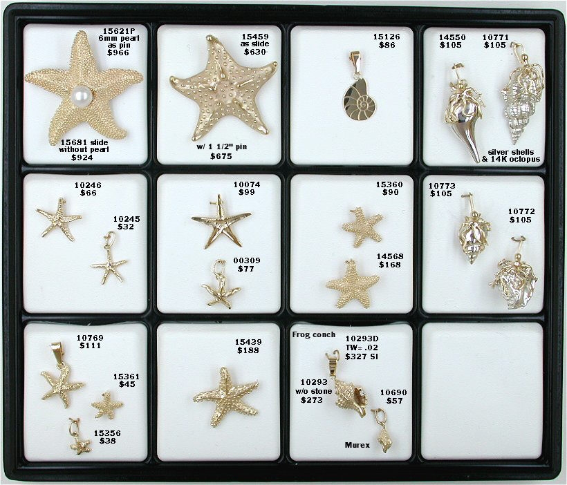 Shells-0062