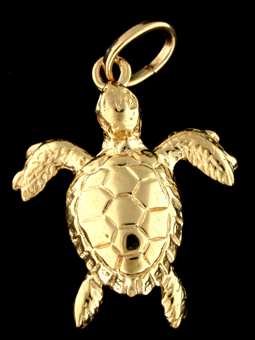 10228-Green Sea Turtle