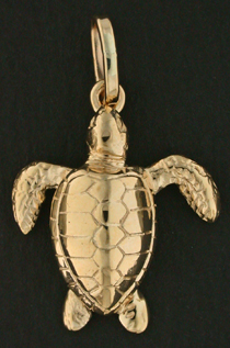 15313-Ridley Olive/Kemp Turtle
