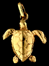 15314-Ridley/Kemp Sea Turtle