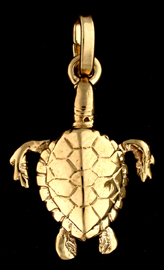 15315-Hawksbill Turtle