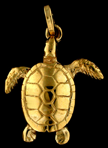 15316-Australian Flatback Sea Turtle