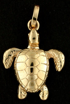 15318-Loggerhead Sea Turtle