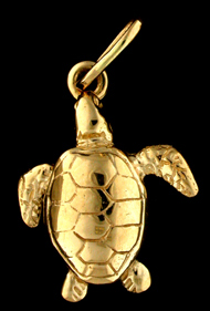 15319-Loggerhead Sea Turtle