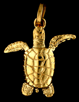 15838-Green Sea Turtle