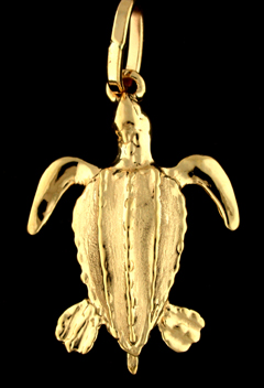 15839-Leatherback Sea Turtle