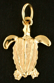 15863-Leatherback Sea Turtle