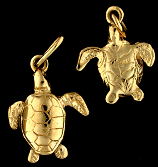 15945-Loggerhead Sea Turtle